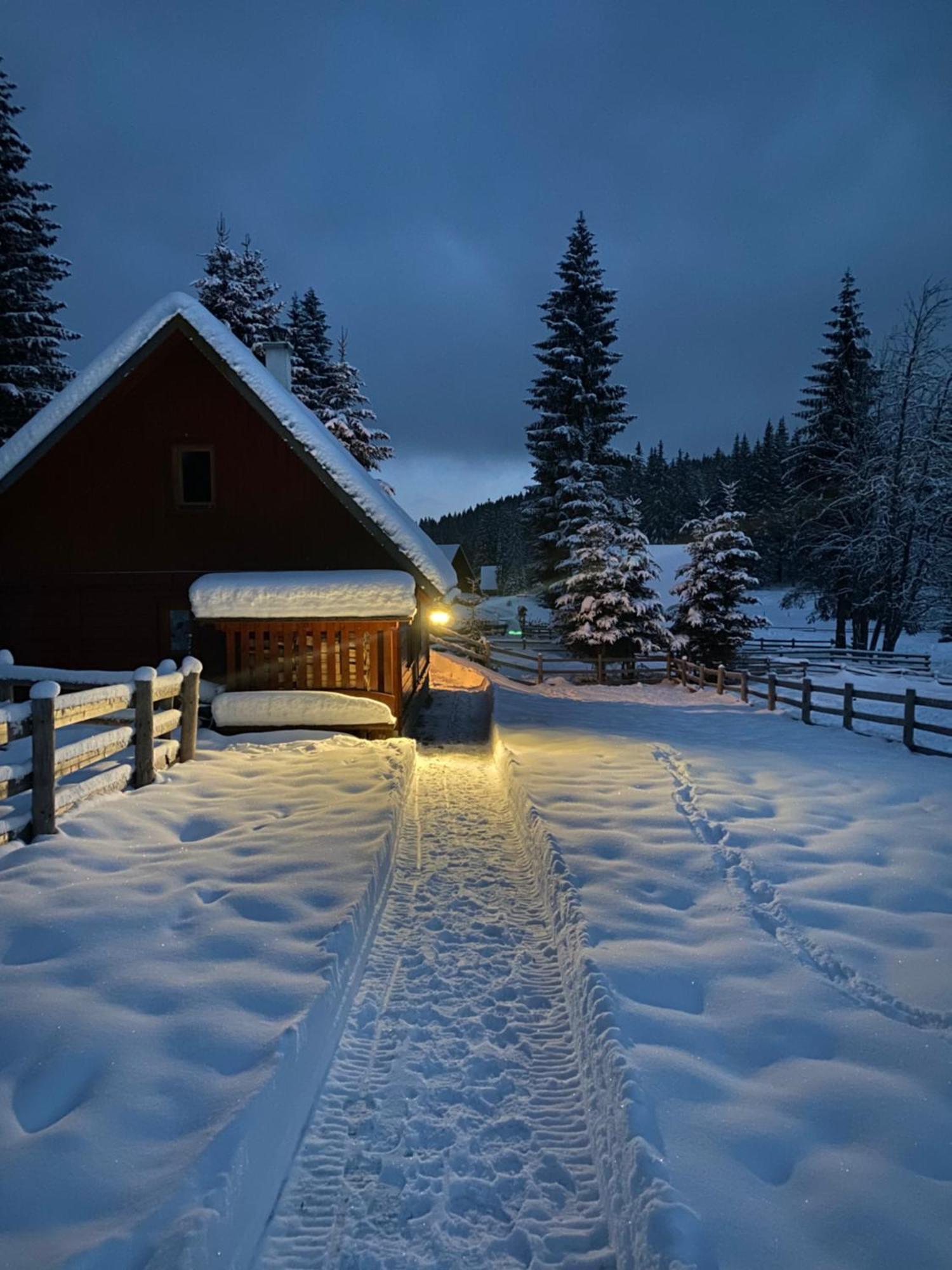 Cosy Chalet On Pokljuka - Brunarica Tinkara Zgornje Gorje Esterno foto
