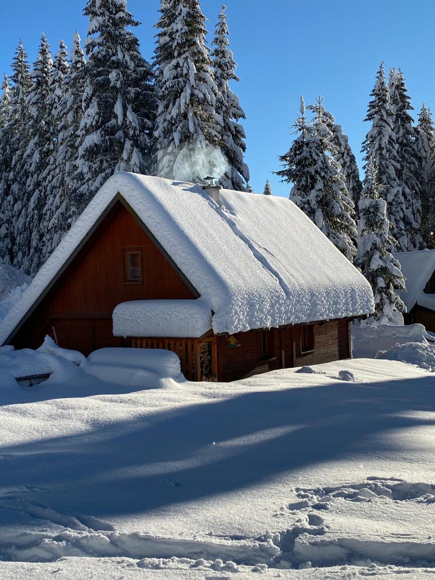 Cosy Chalet On Pokljuka - Brunarica Tinkara Zgornje Gorje Esterno foto