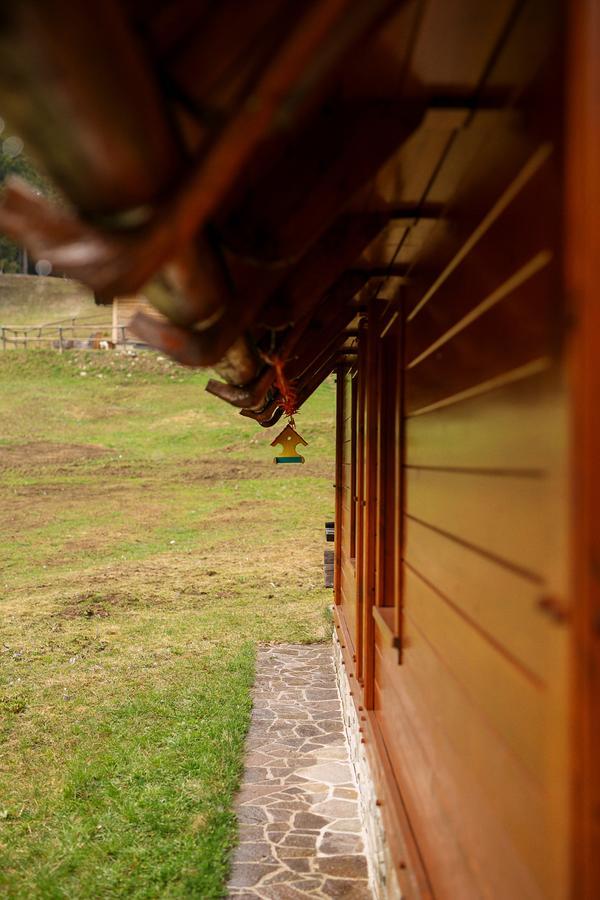 Cosy Chalet On Pokljuka - Brunarica Tinkara Zgornje Gorje Esterno foto